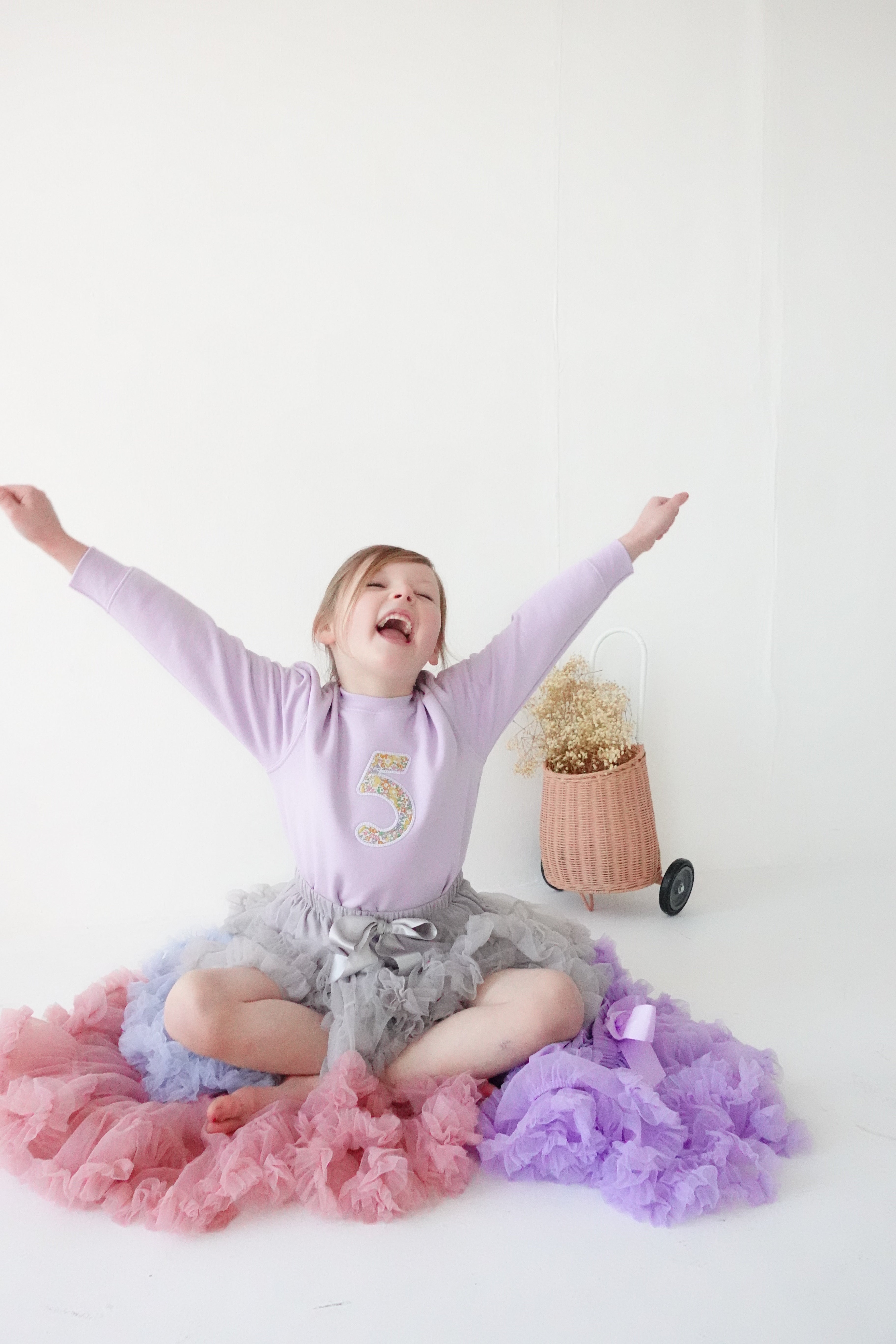 Lilac Liberty Number Jumper